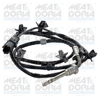 Sensor, exhaust gas temperature
